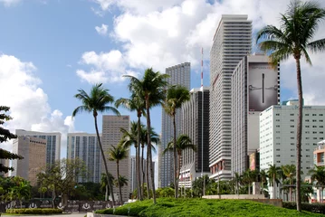 Fotobehang Palmboom Miami  © mikesch112