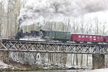 Fototapeta premium pociąg parowy w pobliżu Hradska w Czechach