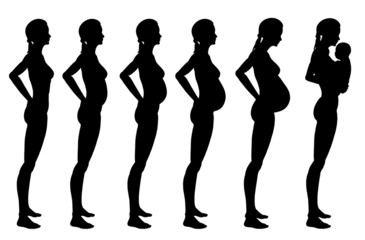 Stages of pregnancy of the woman