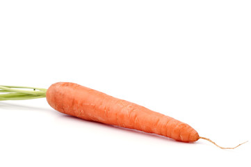 Fresh carrots