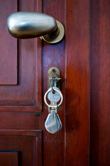 Wood door key color image
