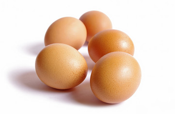 eggs on a white background
