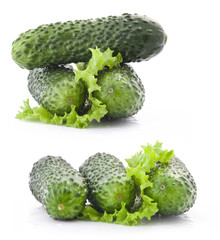 Cucumber and leaf lettuce, isolated on white background