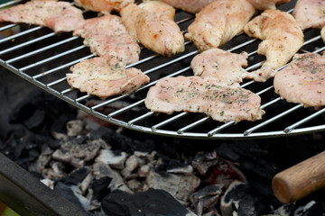 barbecue with delicious grilled meat on grill