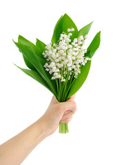 Obraz premium Hand holding a lily of the valley isolated on the white