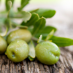 Frische Oliven