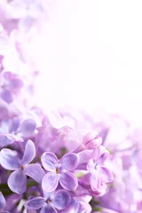 Foto auf Alu-Dibond Kunst Frühling lila abstrakten Hintergrund © Konstiantyn