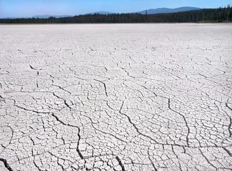 Gordijnen Cracked ground due to drought in British Columbia, Canada © JFL Photography