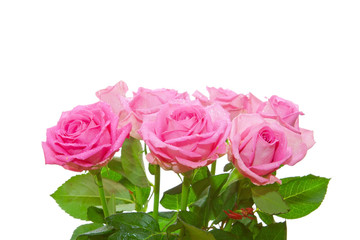 Fototapeta premium Blumenstrauss