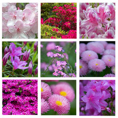 Mosa&iuml;que rose et mauve