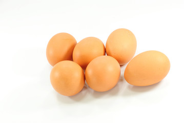 egg on white background