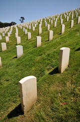 Rows of headstones in a cemetery