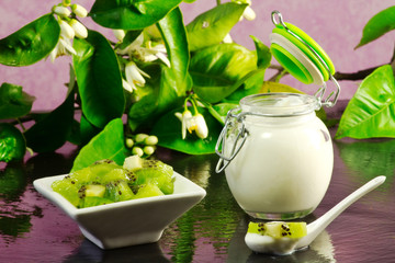 kiwi yogurt over ardesia table