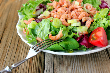 Husumer Sommersalat