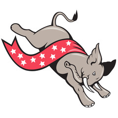 Elephant Jumping Republican