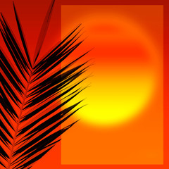 palme, palmier, coucher de soleil, carte postale, invitation