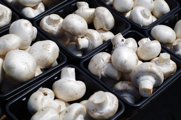 Baskets of White Mushrooms at a Market