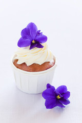 Violet cupcake
