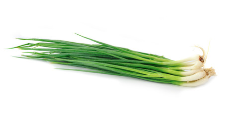 Green Onion on white background