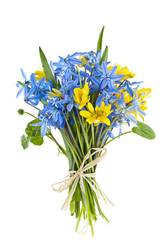 Bouquet of fresh spring flowers