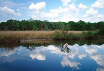 View on the river , spring .Ukraine.