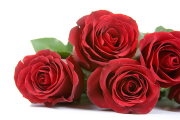 Bouquet of red roses