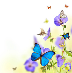 Beautiful flower background with exotic butterflies