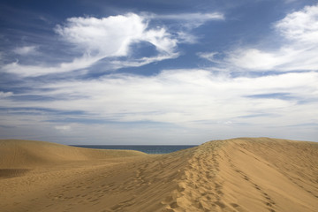 Fototapeta na wymiar Dunes in Maspalomas beach
