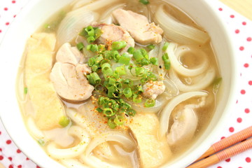 Japanese cuisine noodle  UDON