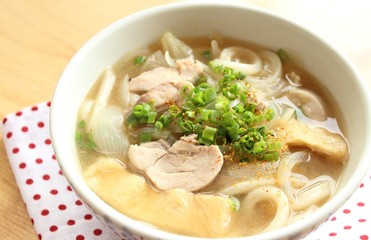 Jaoanese Noodle Cuisine Udon
