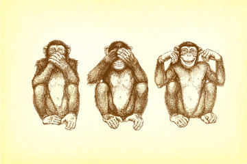 drei Affen (nicht sehen, hören, sagen)