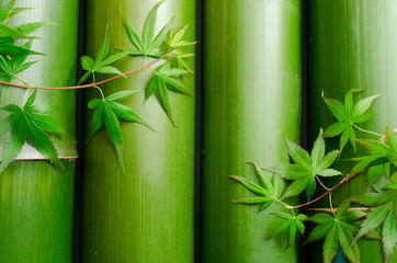 並べた竹とカエデの葉