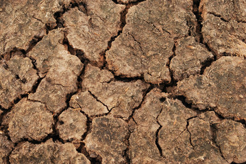 soil crack