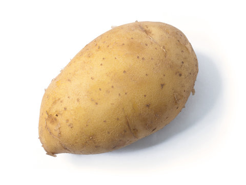 Patato
