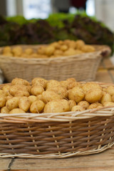 pommes de terre de l'île de Ré