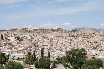Visita general de la ciudad de Fez.
