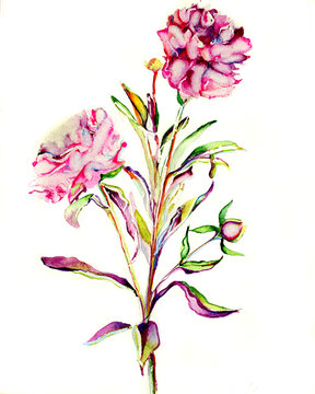 double flower
