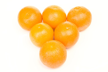 Oranges  family