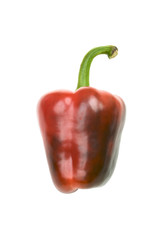 Red sweet pepper