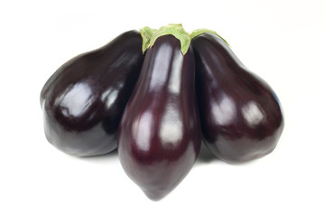 Aubergines family