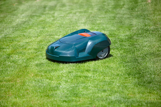 Rasen Roboter im Garten
