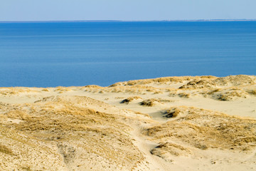 Desert sand background of a Curonian Spit dune