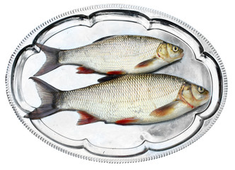 Fresh raw fish on a dish.