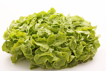 Une laitue fraiche