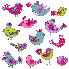 Colorful Birds Doodle Collection - hand drawn in vector