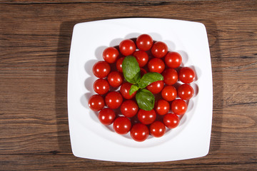 Kleine Tomaten auf Teller mit Basilikum von oben Nahaufnahme