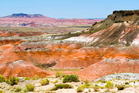 Painted Desert Landscape