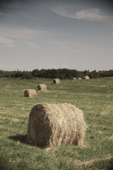 Rolling haystack on summer field