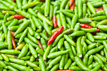 Chillies background