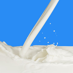 milk splash